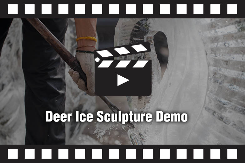 Ice Sculpture Demo Video