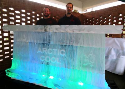 Ice Bar 002 Artic Cool