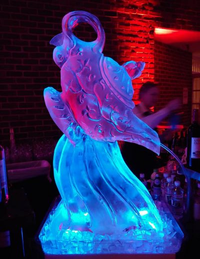 Ice Luge 001 Aladin's Magic Lantern