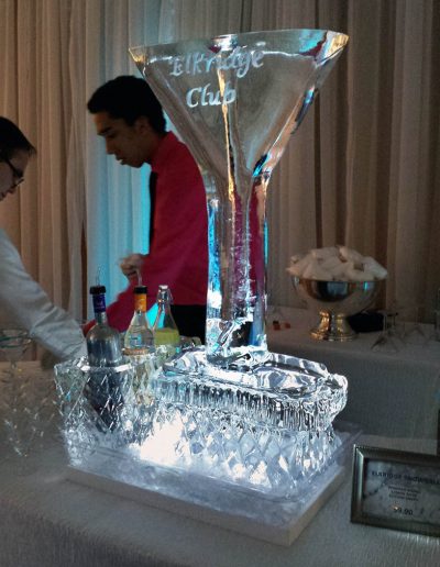 Ice Luge 023 Martini Glass