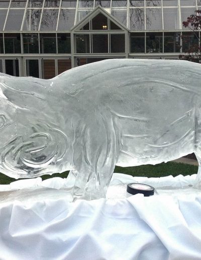 Ice Luge 036 Huge Pig