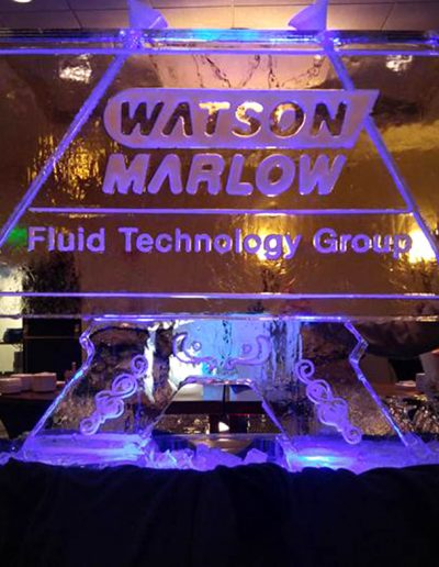 Ice Luge 040 Watson Marlow