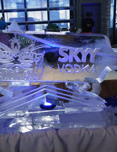 Ice Luge 048 SKYY Vodka