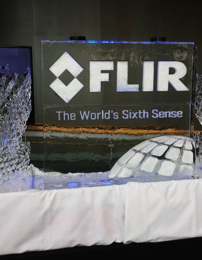 Ice Luge 057 FLIR