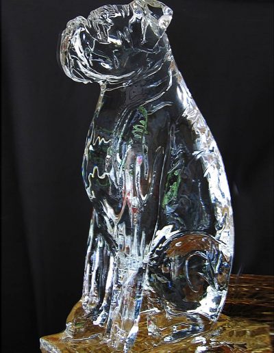 Ice Sculptures 012 Boxer