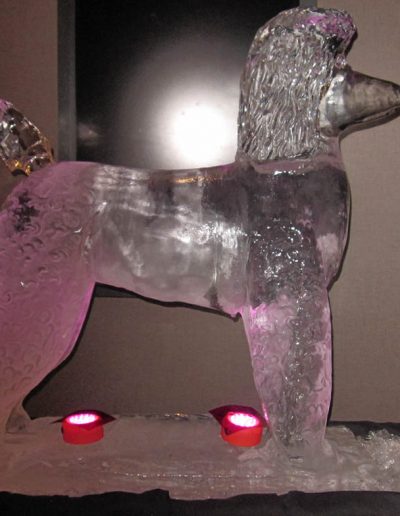 Ice Sculptures 046 Poodle