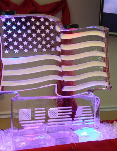 Ice Sculptures For Events 028 USA