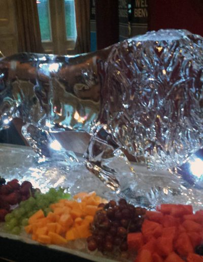 Ice Sculptures For Events 038 Fruit Bar