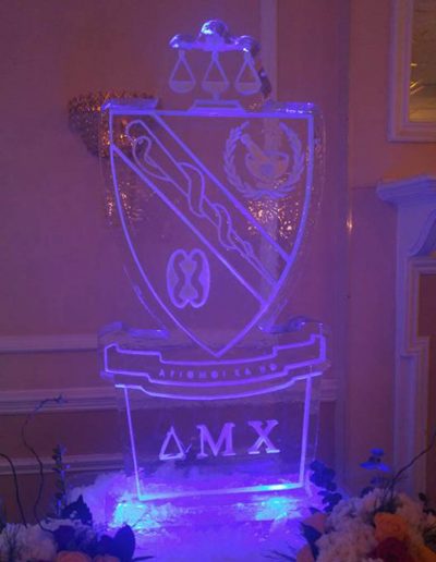 Ice Sculptures For Events 078 Frat Party